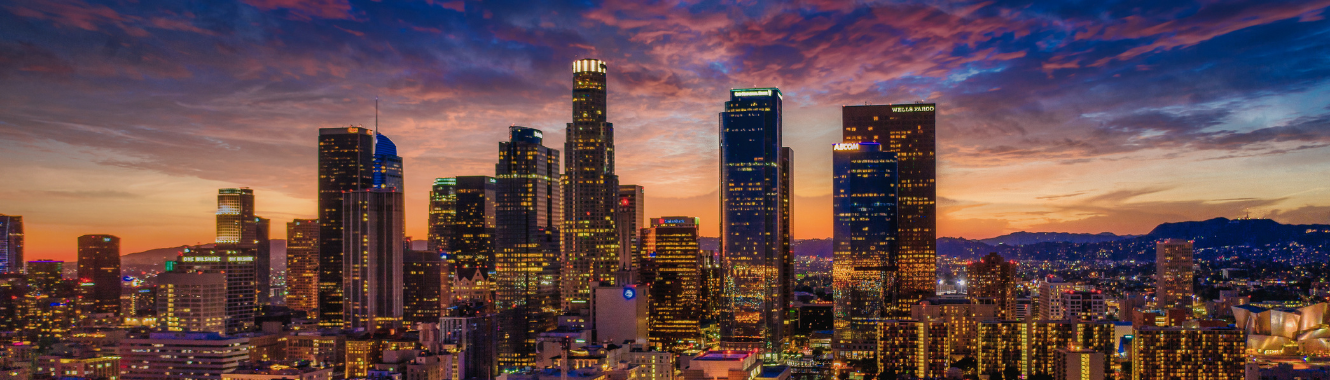new DTLA night skyline view